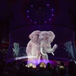 Rạp xiếc Roncalli dùng hologram thay động vật sống